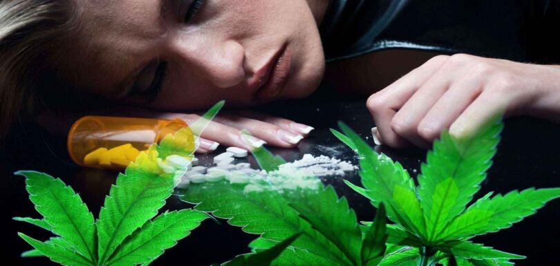 Cannabis Addiction